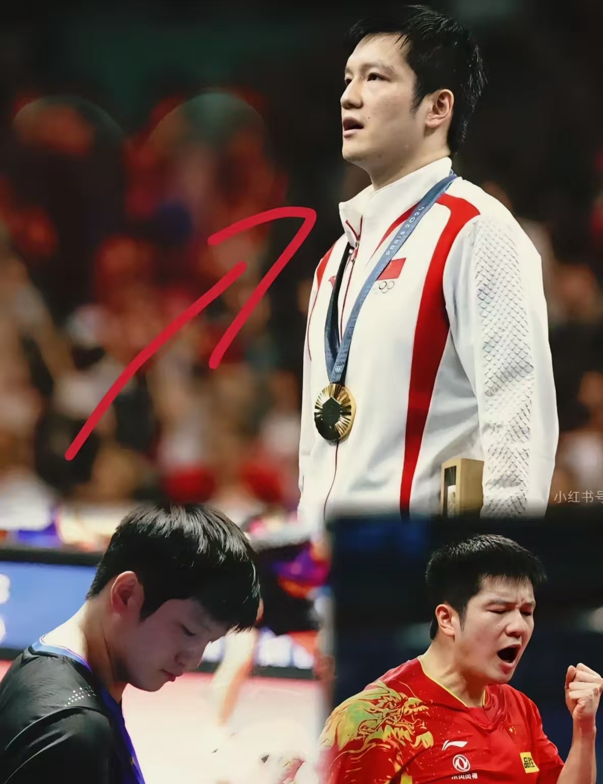 包含波兰队轻取法国队，樊振东点燃赛场的词条