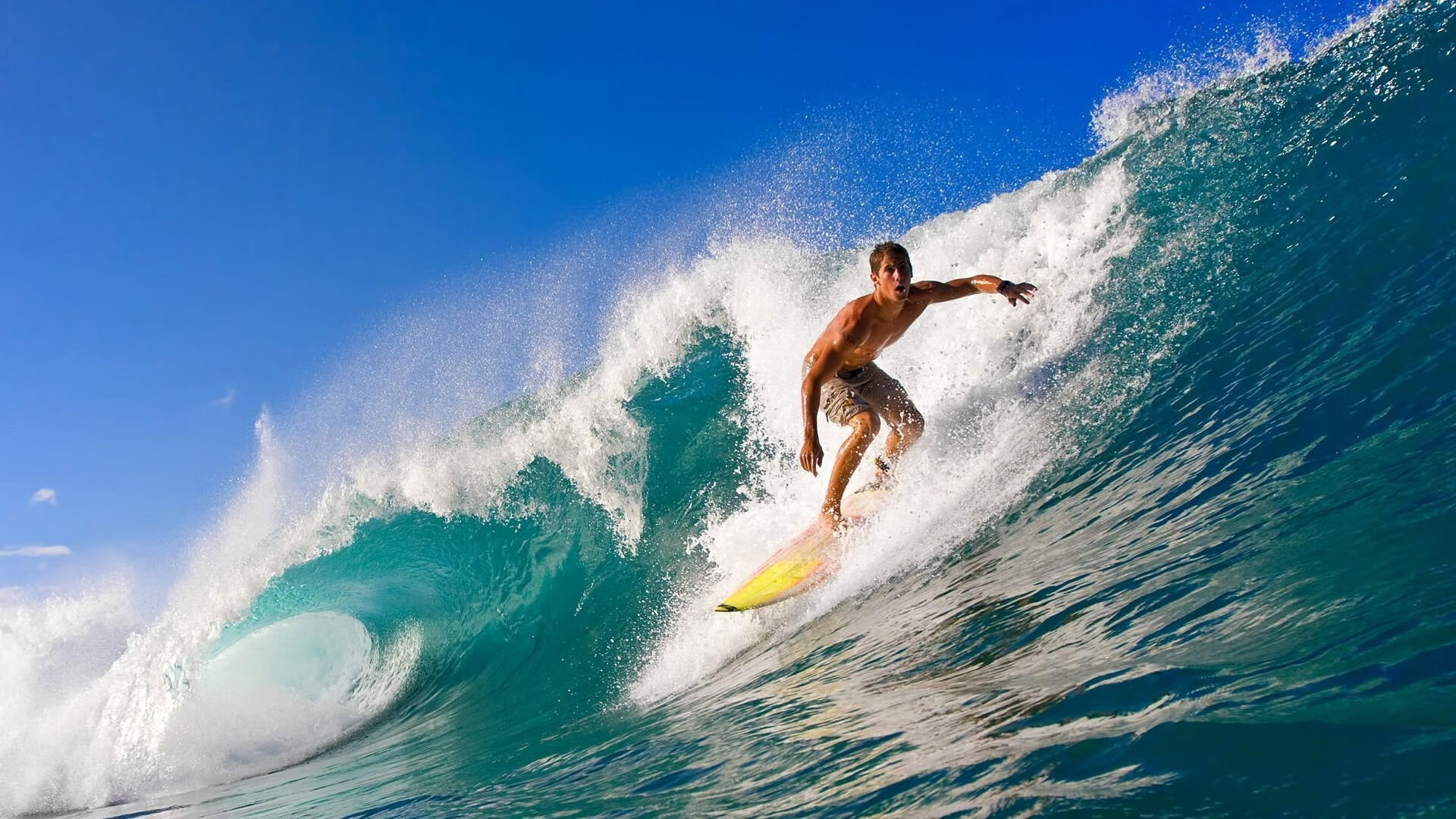 欧冠半决赛焦点战，骑士全面压制掘金，战术纪律铸就经典胜利