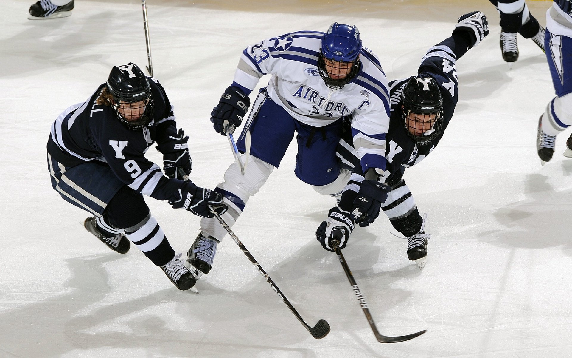 勇士生死战取胜上海队，福克斯成为关键先生