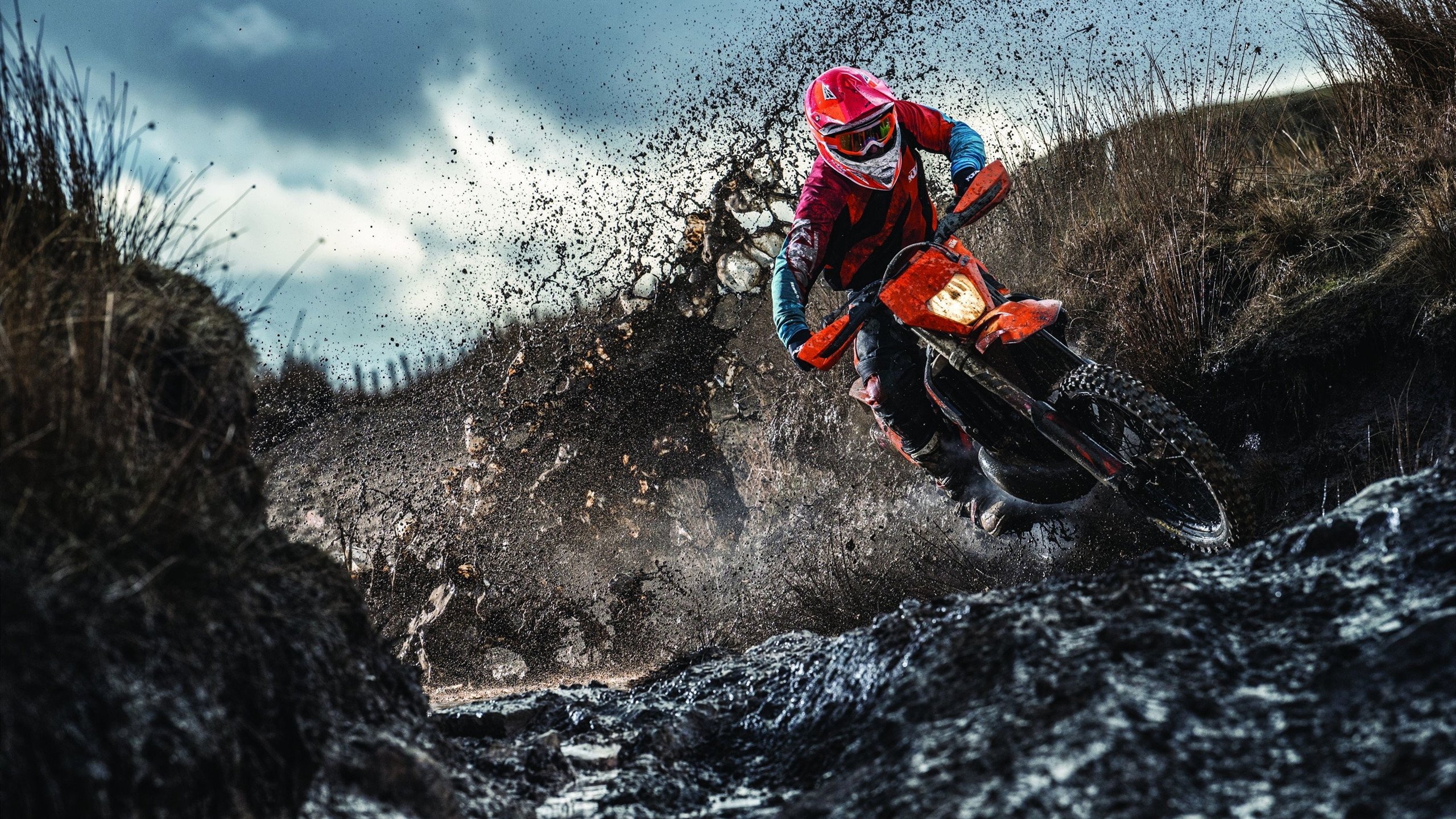 张本智和怒吼破韩阵，日本队横扫韩国队点燃赛场激情