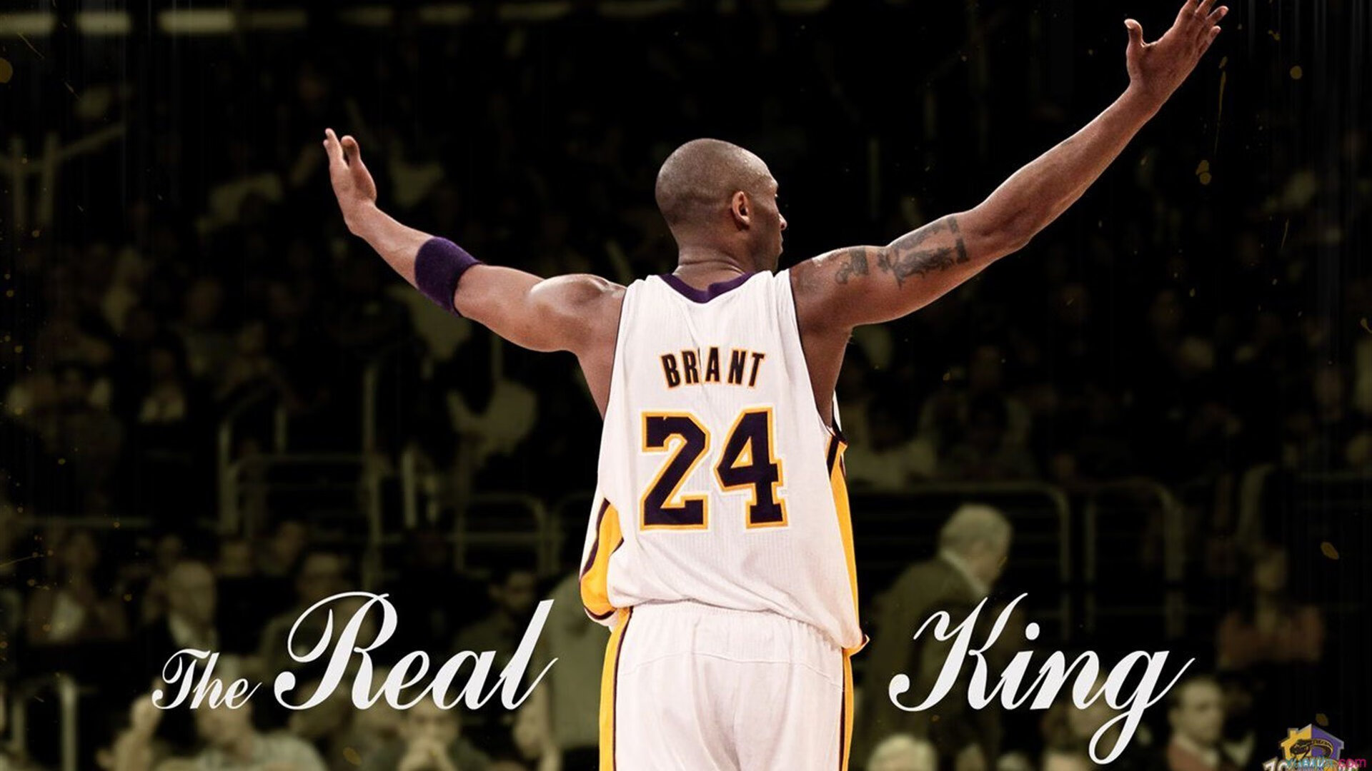 雷速APP-赛道上的宿命对决，哈斯鏖战威廉姆斯，勒克莱尔点燃赛场激情